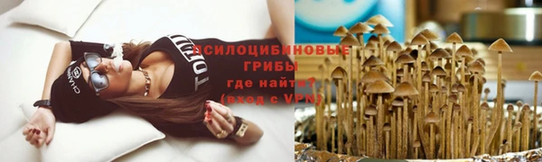 ПСИЛОЦИБИНОВЫЕ ГРИБЫ Няндома