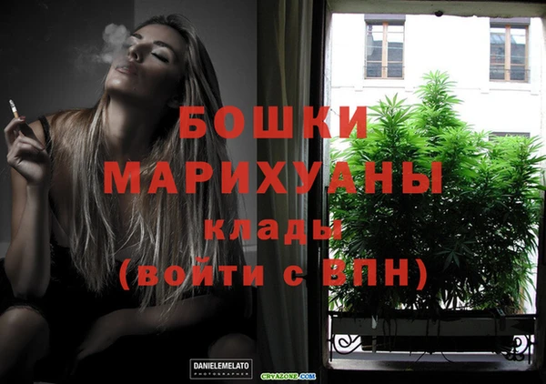 ПСИЛОЦИБИНОВЫЕ ГРИБЫ Няндома