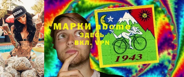 ПСИЛОЦИБИНОВЫЕ ГРИБЫ Няндома