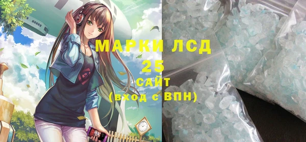 ПСИЛОЦИБИНОВЫЕ ГРИБЫ Няндома