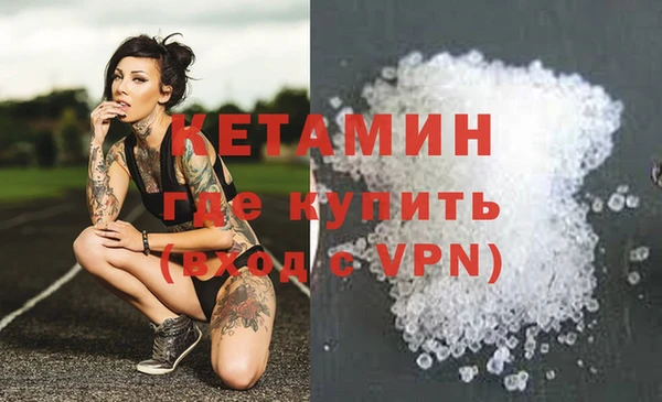 ПСИЛОЦИБИНОВЫЕ ГРИБЫ Няндома