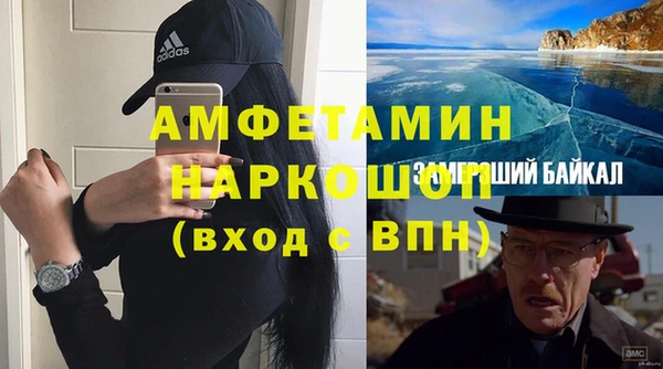 молекула духа Галич