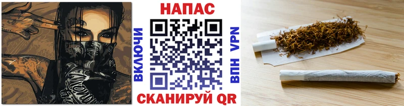 как найти   Ржев  Каннабис VHQ 